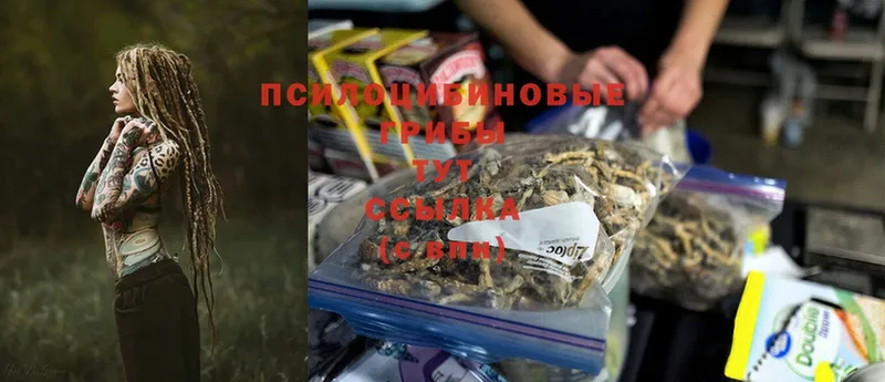 Галлюциногенные грибы MAGIC MUSHROOMS  купить наркоту  Кимры 